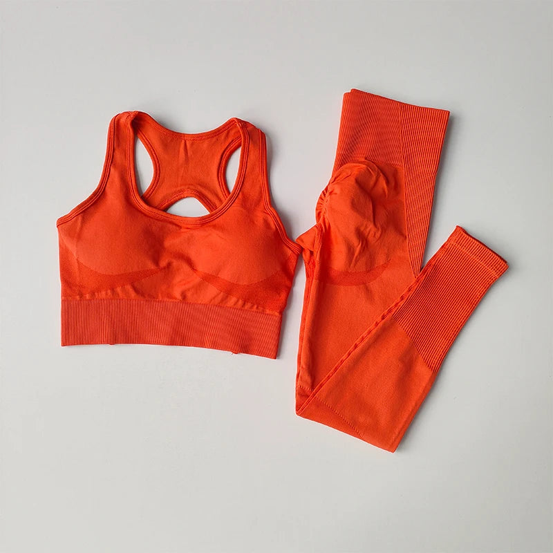 2PCS Sports Bra Yoga Set