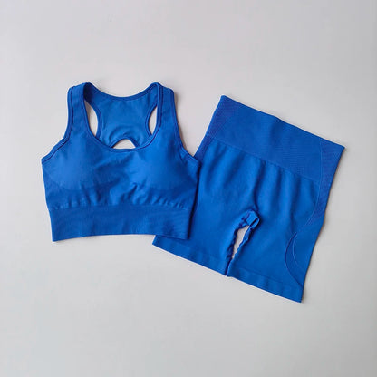 2PCS Seamless Yoga Set