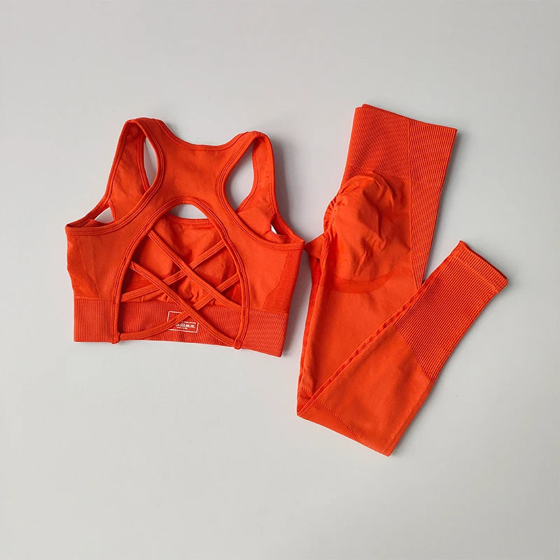 2PCS Sports Bra Yoga Set