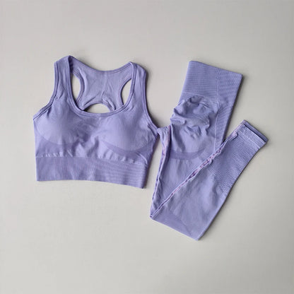 2PCS Sports Bra Yoga Set